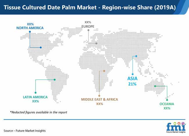 Tissue Cultured Date Palm Market Region Wise Share tissue cultured date palm market region wise share