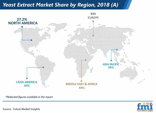 Yeast Extract Market Share By Region yeast extract market share by region